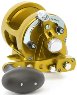 Avet MXJ 6/4 MC Raptor 2-Speed Lever Drag Casting Reel - Gold