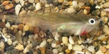 Enrico Puglisi Rattle Finger Mullet Saltwater Fly 1 Enrico Puglisi Rattle Finger Mullet Saltwater Fly