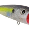 Livingston Lures 5302 Tournament Walk N Pop 67-1 Topwater Popper