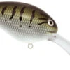 Livingston Lures Pro Series Dive Master 20 Crankbait