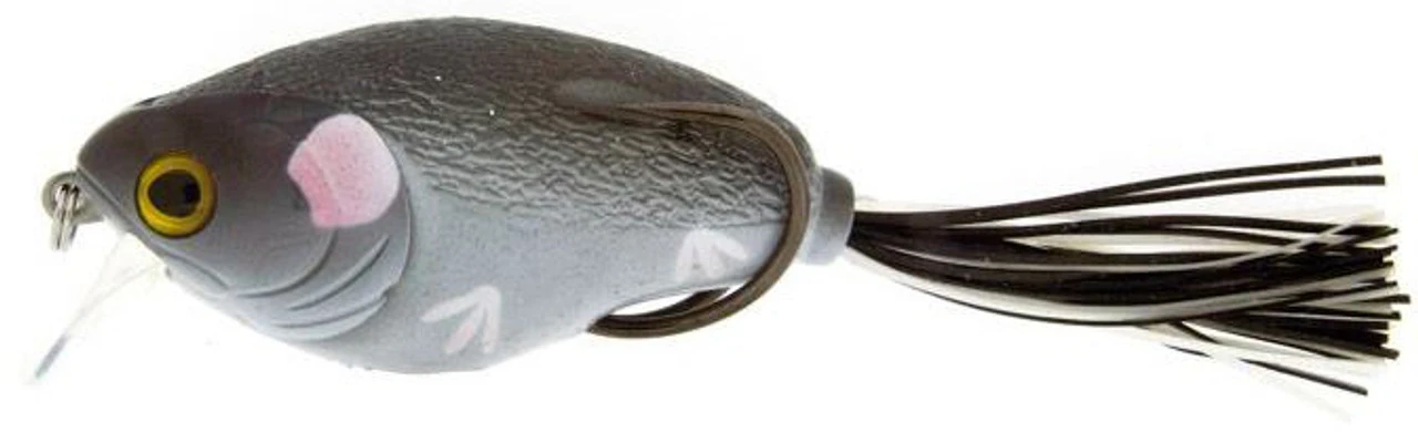 Molix Supernato Baby 3 Molix Supernato Baby - Image 3