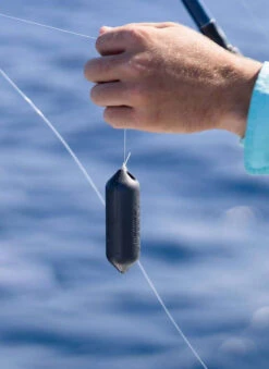 Sharkbanz Fishing Zeppelin 9 Sharkbanz Fishing Zeppelin -Fishing Sales Store sharkbanz sbf 0zep zeppelin 28992.1651418536