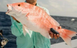 Sharkbanz Fishing Zeppelin 8 Sharkbanz Fishing Zeppelin -Fishing Sales Store sharkbanz sbf 0zep zeppelin 76776.1651418536