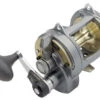 Shimano Tyrnos 2-Speed Reels