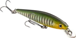 Strike King KVD 100 Jerkbait - Phantom Perch