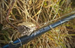 Thomas & Thomas Avantt Series Fly Rods 6 Thomas & Thomas Avantt Series Fly Rods -Fishing Sales Store thomas thomas avantt series fly rods 92418.1651330433