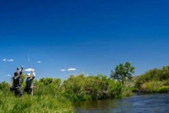 Thomas & Thomas Lotic Series Fly Rods 6 Thomas & Thomas Lotic Series Fly Rods -Fishing Sales Store thomas thomas lotic series fly rods 25489.1651330459